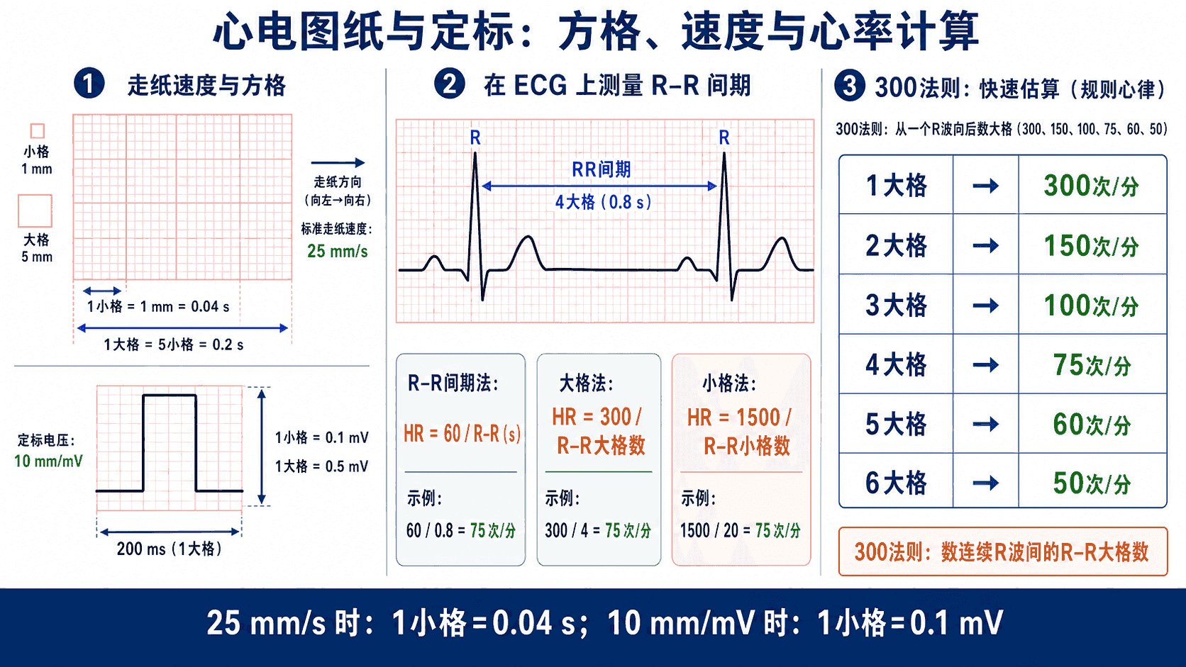 心电图纸方格与定标:25mm/s 下 1 小格=0.04s,10mm/mV 下 1 小格=0.1mV,以及 R-R 间期的三种心率算法与 300 法则